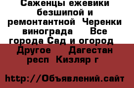 Саженцы ежевики безшипой и ремонтантной. Черенки винограда . - Все города Сад и огород » Другое   . Дагестан респ.,Кизляр г.